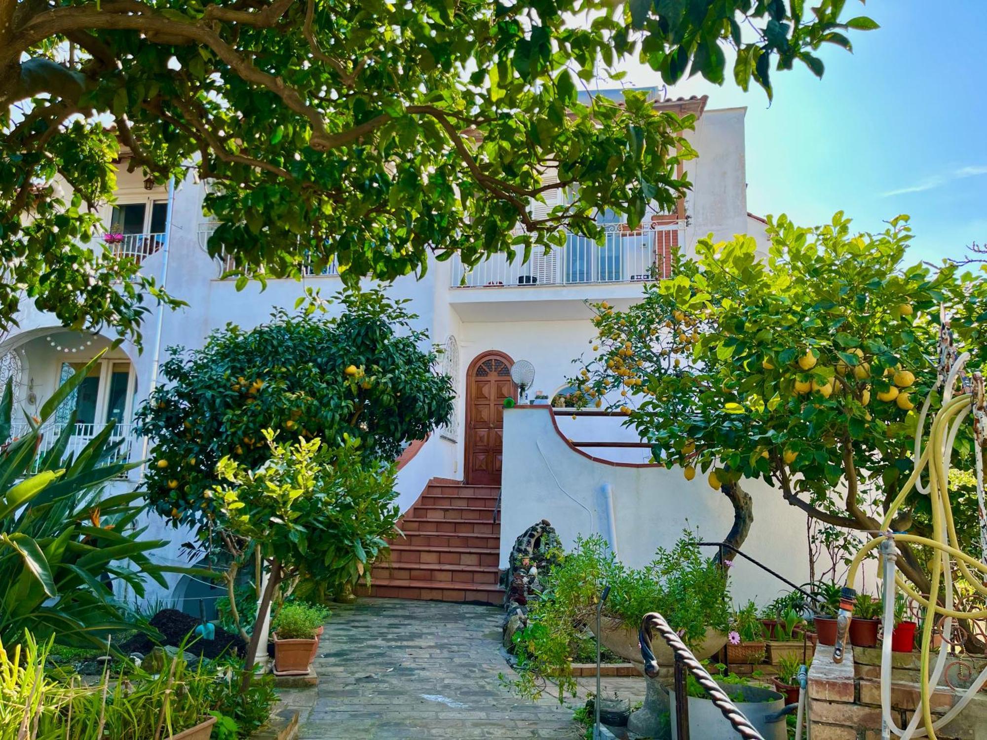 Villa Elke Ischia Exterior photo